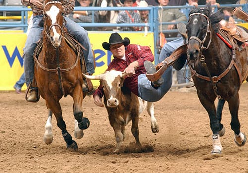 2001 NFR history