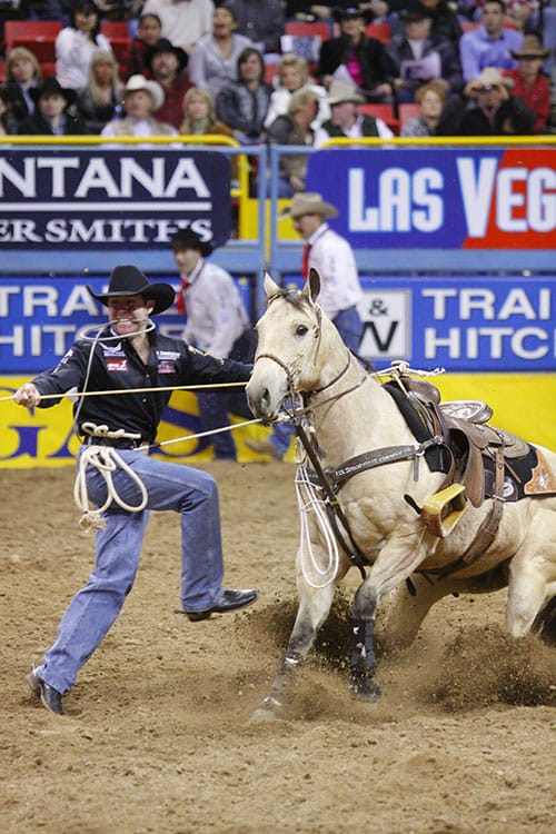 2006 NFR history