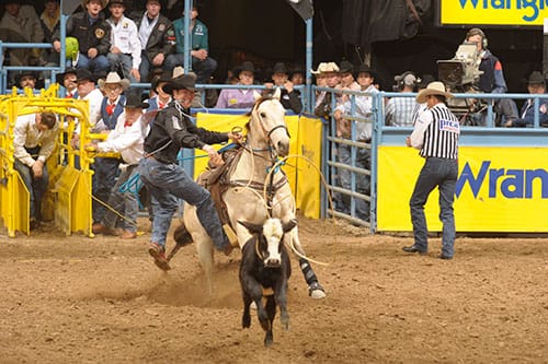 2014 NFR history