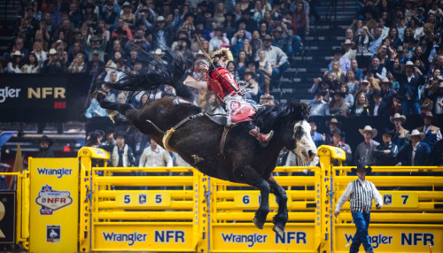 2025 NFR history