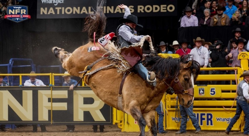 Saddle Bronc Rider Logan Hay Makes It Three Consecutive Round Wins
