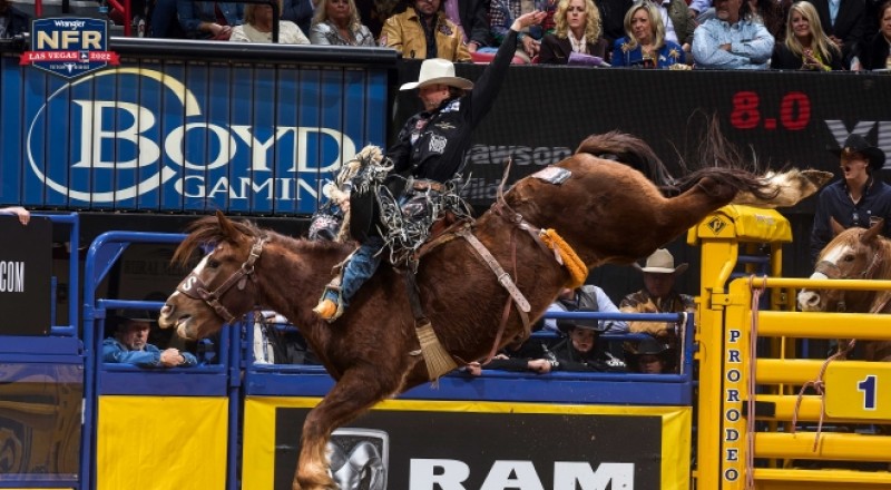 Dawson Hay Has Record Ride on Killer Bee's Last Out
