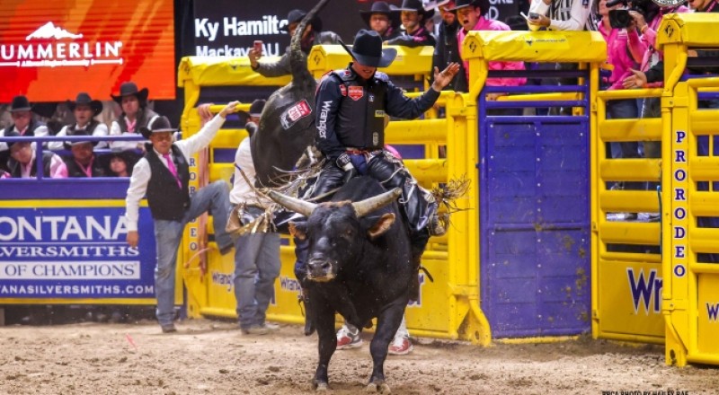 Ky Hamilton Takes Charge in Bull Riding Race with Round 4 Win