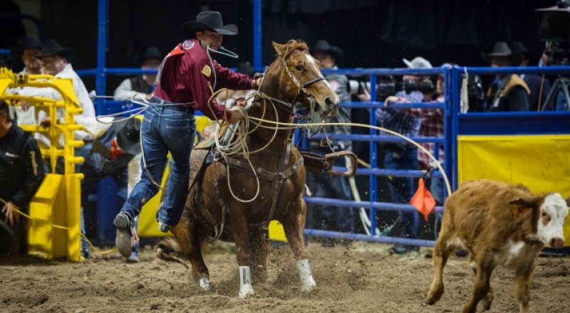 Tie-down roper Haven Meged Makes NFR History with Round 7 Victory