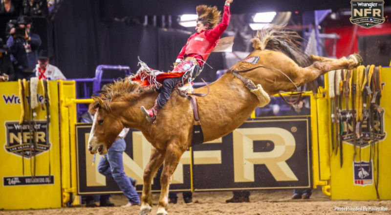Rocker Steiner Rocks Wrangler NFR with Round 6 Win