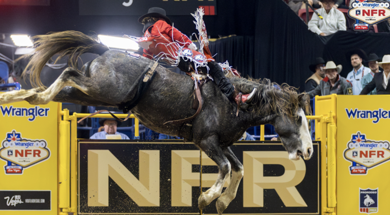 Rocker Steiner Shines in Round 2 Win of Wrangler NFR