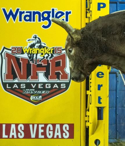 2015 Wrangler NFR Day 6