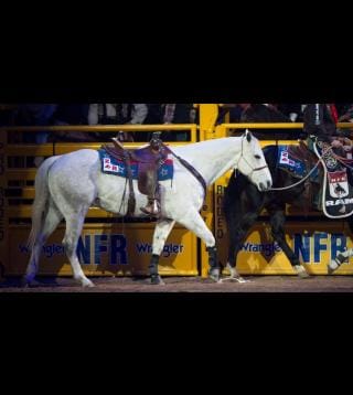 2014 Wrangler NFR Day 4