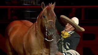 The 2024 #WranglerNFR Round 9 In-Arena Presentation – Hollywood