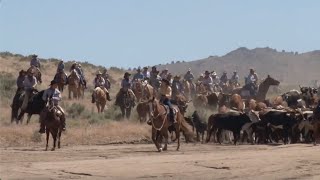 The 2024 #WranglerNFR Round 9 In-Arena Presentation – NFR Legacy Night